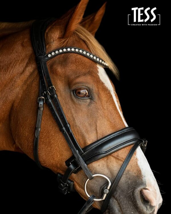 TESS Trens Slim Bridle Black / Black Matt - Afbeelding 2