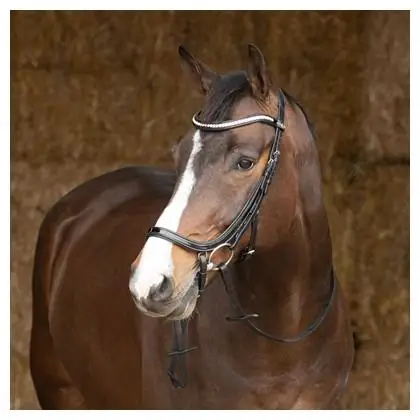 Harry Horse Anatomic Lacque hoofdstel
