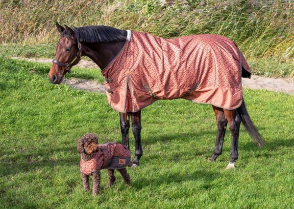 Harry Horse Outdoor deken Thor 0GR fleece WI24