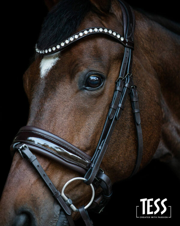 TESS Trens Slim Bridle Brown - Afbeelding 3