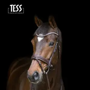 TESS Jumping Bridle Brown