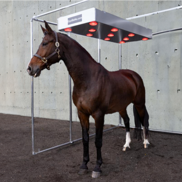 EquiBene S11 Solarium