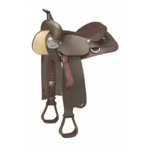 Wintec Western bruin