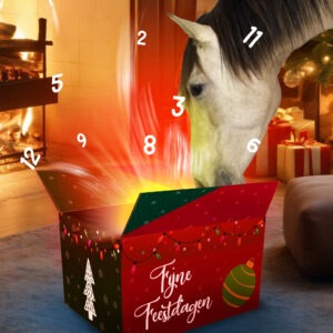 Advent kalender 2025