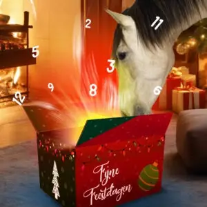 Advent kalender 2025