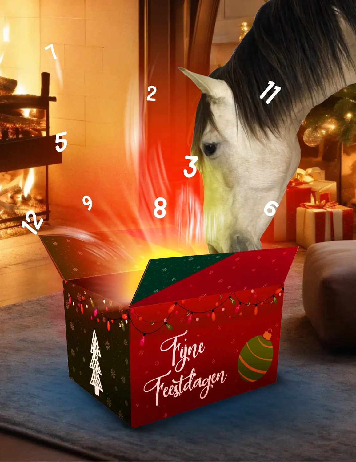 Advent kalender 2025