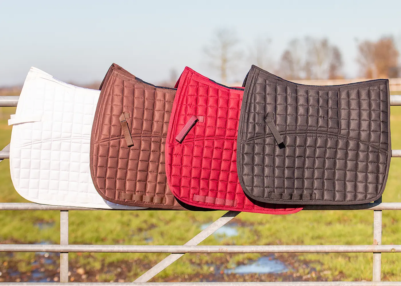 Edix Dressuur Smooth 8-Pocket Pad