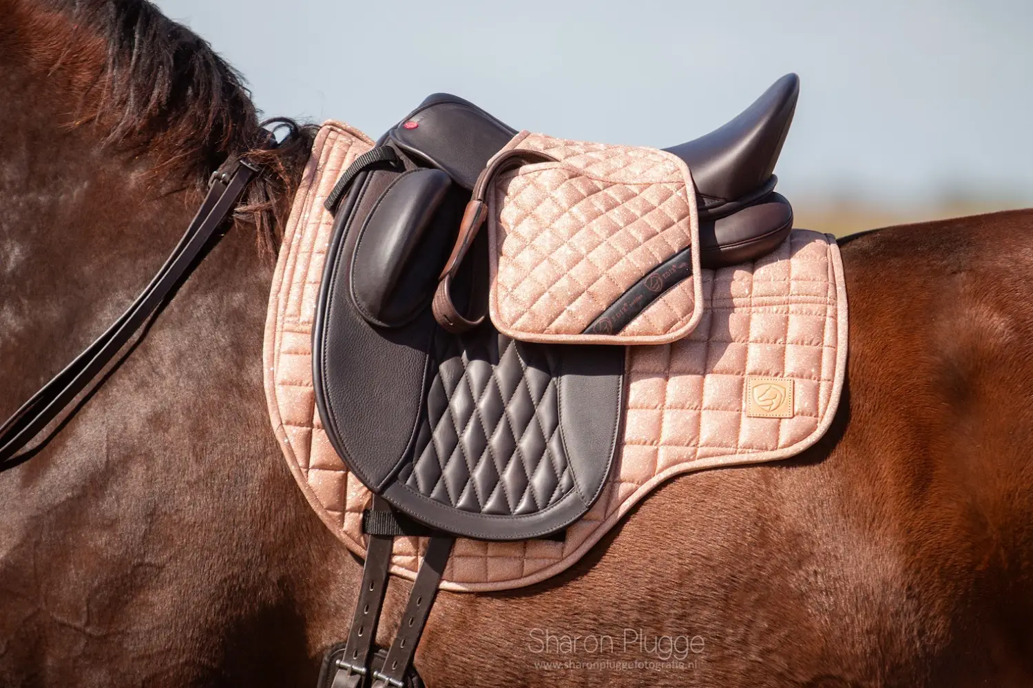 Edix Stijgbeugel Beschermhoes Sparkle